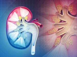 Advanced Endourology and Reconstructive Urology - Dr Dushyant Nadar