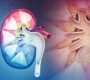 Advanced Endourology and Reconstructive Urology Dr Dushyant 90x80